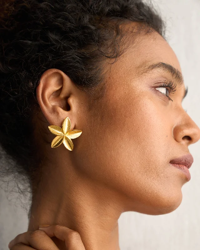 Frangi Studs - Gold Refined Men's Velvet