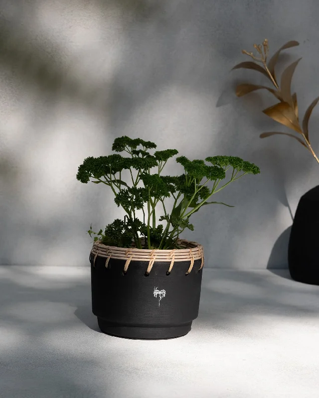 Zanzibar Planter Elegant Men's Cashmere